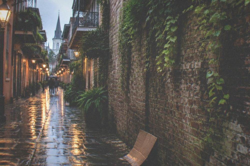 Narrow French Quarter alley with hanging vines and old brick walls