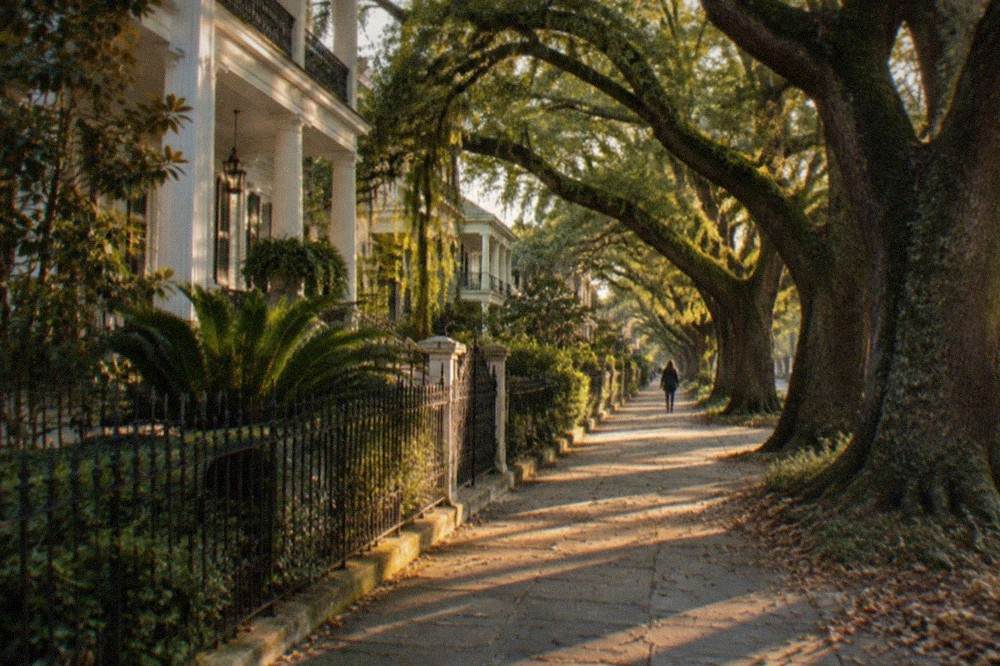 Avenue of live oak trees shading a Garden District sidewalk lined with historic homes