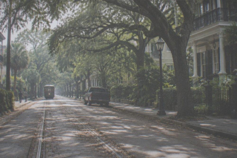Streetcar tracks running beneath oak canopy on a residential New Orleans avenue